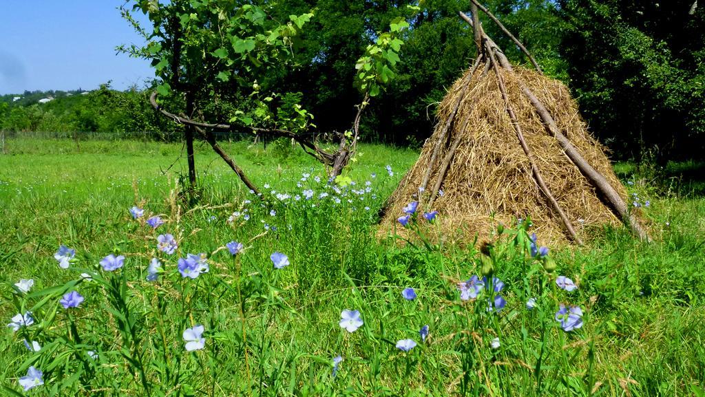 Country House Uliana Tskaltubo Bagian luar foto