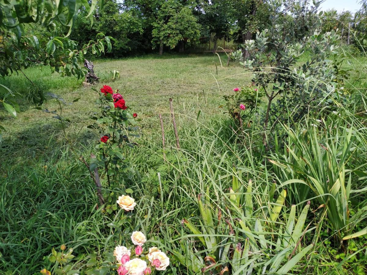 Country House Uliana Tskaltubo Bagian luar foto